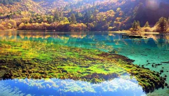 門(mén)票那么貴 沒(méi)法玩耍了！