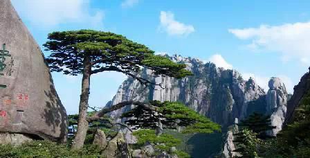 門(mén)票那么貴 沒(méi)法玩耍了！