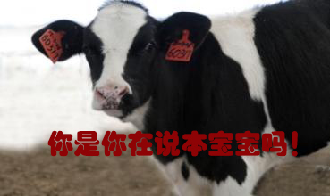 關(guān)我什么事！