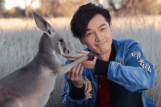 小袋鼠還有親到胡歌喲！