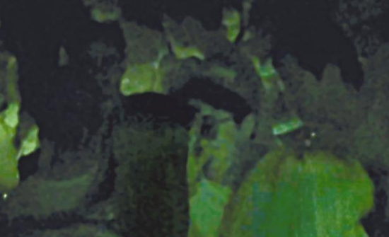 房祖名去年被港媒直擊在中環(huán)夜店與長(zhǎng)發(fā)妞互動(dòng)曖昧，女生正是Nana