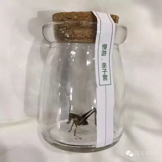 看看我的成果吧！