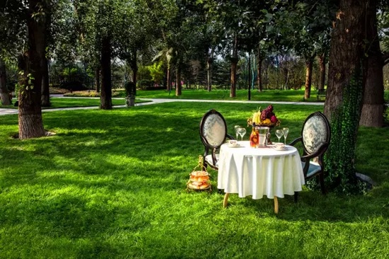 秋陽鴻園，芳草青青