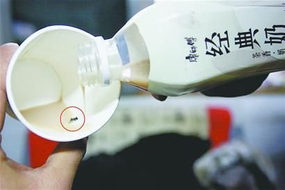 田先生喝的經(jīng)典奶茶中有一只蒼蠅。