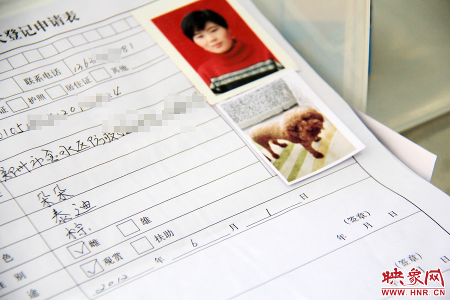 辦理狗證，需要填寫申請(qǐng)表