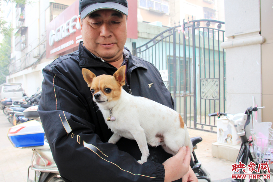 在市民眼里，小狗狗都是他們的小寶貝