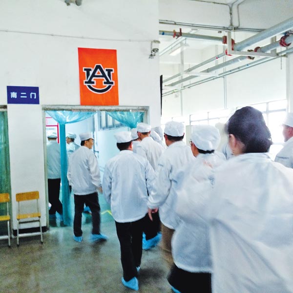 考察廠(chǎng)房