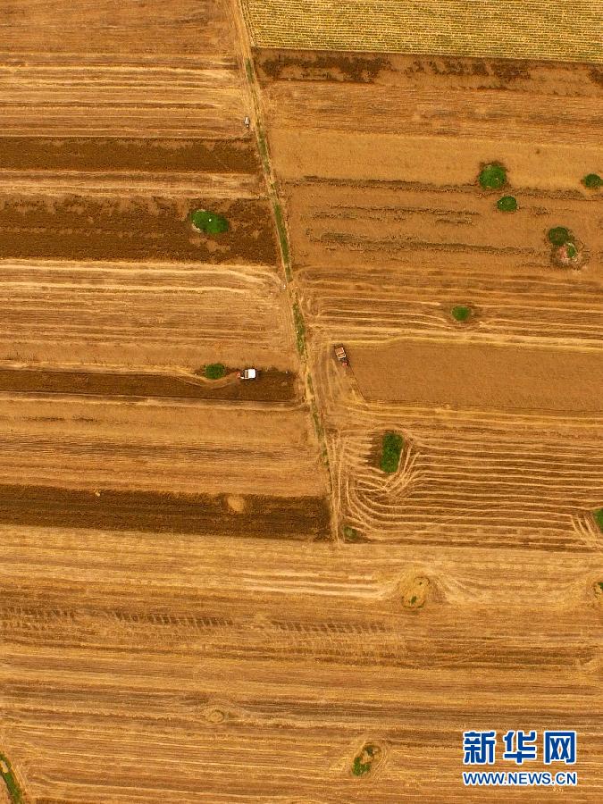 這是5月28日在河南省南陽市唐河縣甘河灣村航拍的麥收現(xiàn)場。
