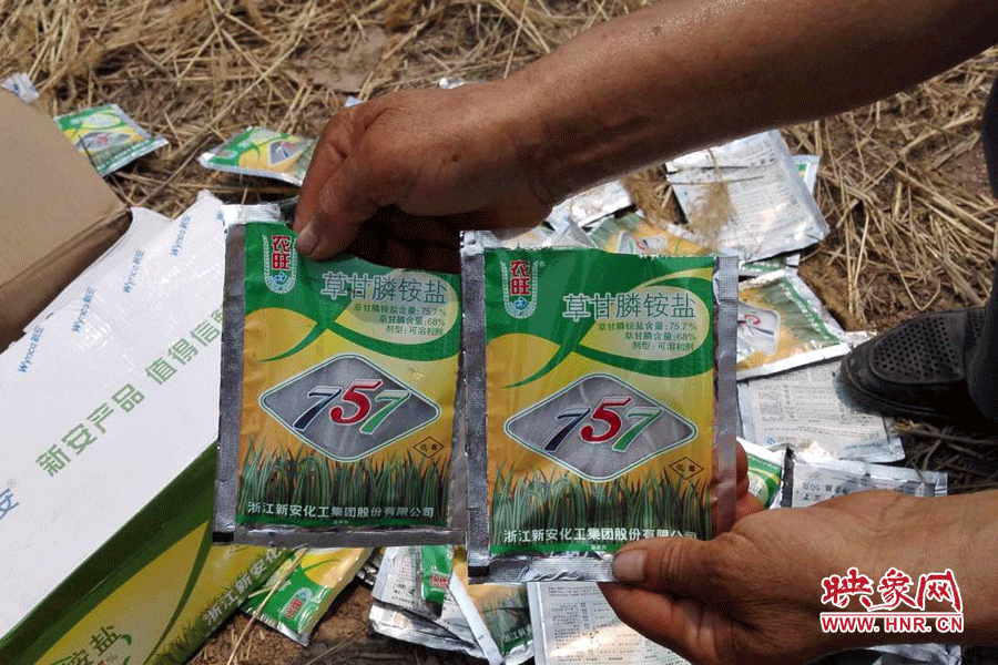 毀掉玉米的農(nóng)藥袋散落在地頭。