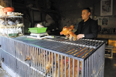 南京另一家農(nóng)貿(mào)市場(chǎng)內(nèi)待售的活雞。因南京出現(xiàn)H7N9禽流病例，買活雞的顧客減少。