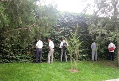 6月30日，頤和園內(nèi)綠地上，多名游客在小解。 網(wǎng)友“攝影老鬼” 攝