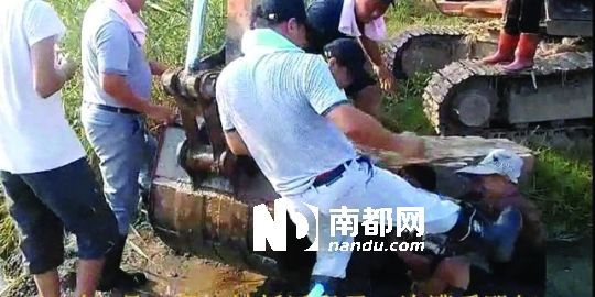 幾名戴黑帽的男子將一名老人推入水塘，后反復(fù)腳踹。