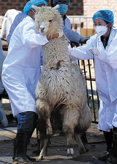 好強壯！我真的不是虛胖，兩三個人別想控制我。