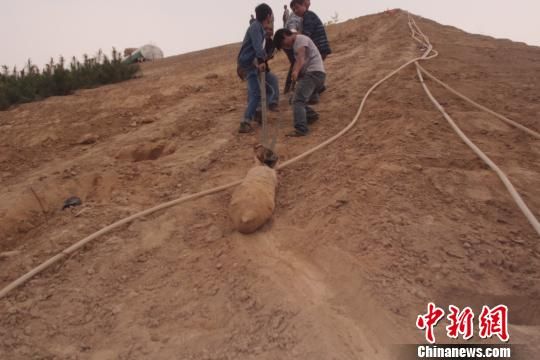 　4月27日上午，當(dāng)?shù)卮迕裨诠系販洗逡痪G化處挖出一枚長1米，重200斤的炸彈，5月10日，這枚炸彈已