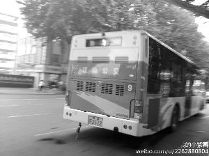 就是這輛9路車(chē)的司機(jī)幫孕婦“要”座位 網(wǎng)絡(luò)圖片 就是這輛9路車(chē)的司機(jī)幫孕婦“要”座位 網(wǎng)絡(luò)圖片