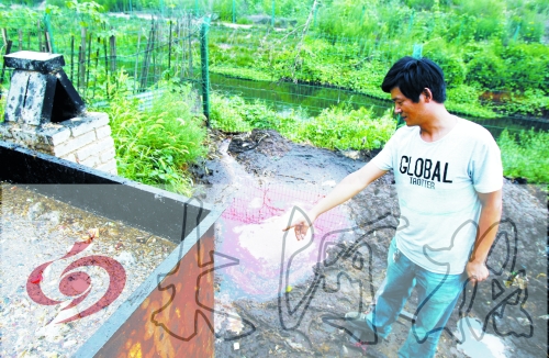 煉油點(diǎn)將骯臟、臭氣熏人的廢水直接排入溝渠。