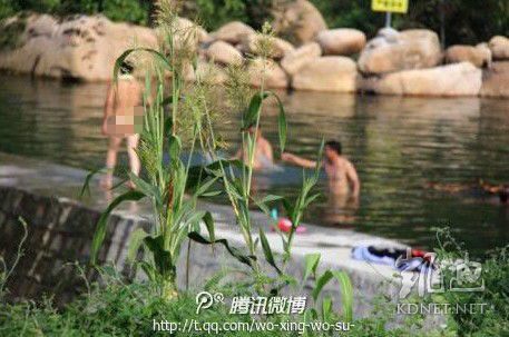 網(wǎng)友曝光的現(xiàn)場圖片。（圖片來自網(wǎng)絡）