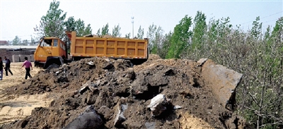 垃圾將生態(tài)涵養(yǎng)林給埋住了。