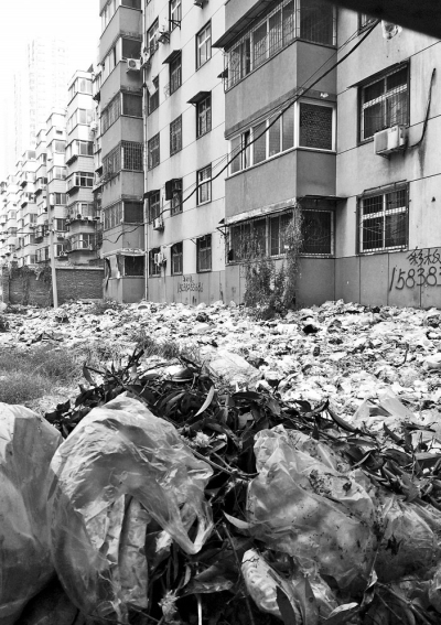 透過擋板縫向內(nèi)看，30多米垃圾已經(jīng)將居民樓包圍。