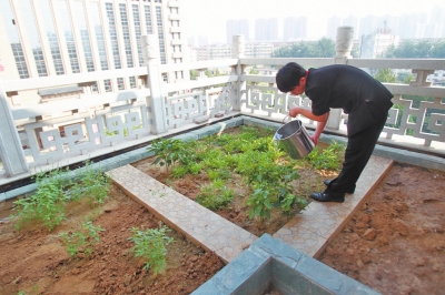 鄭州某酒店在樓頂打造的菜園子，服務員正在澆水。