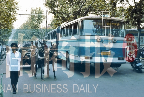 當(dāng)年的伏牛路，驢車和公交車并行