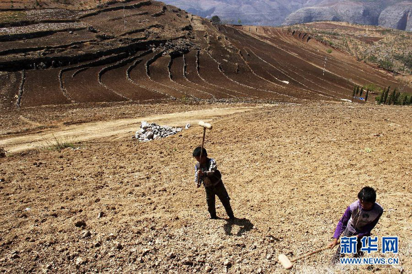 3月16日，在貴州省畢節(jié)市威寧縣斗古鄉(xiāng)中關村，兩個孩子幫助家人在干旱的土地上勞動。