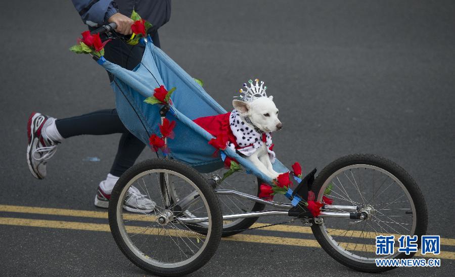 美國(guó)帕薩迪納舉行第124屆玫瑰花車游行 美國(guó)帕薩迪納舉行第124屆玫瑰花車游行