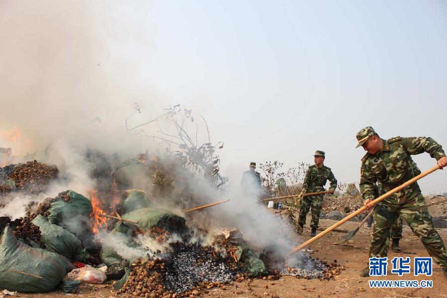 （法制）（1）云南盈江公開(kāi)銷毀3．6噸罌粟殼