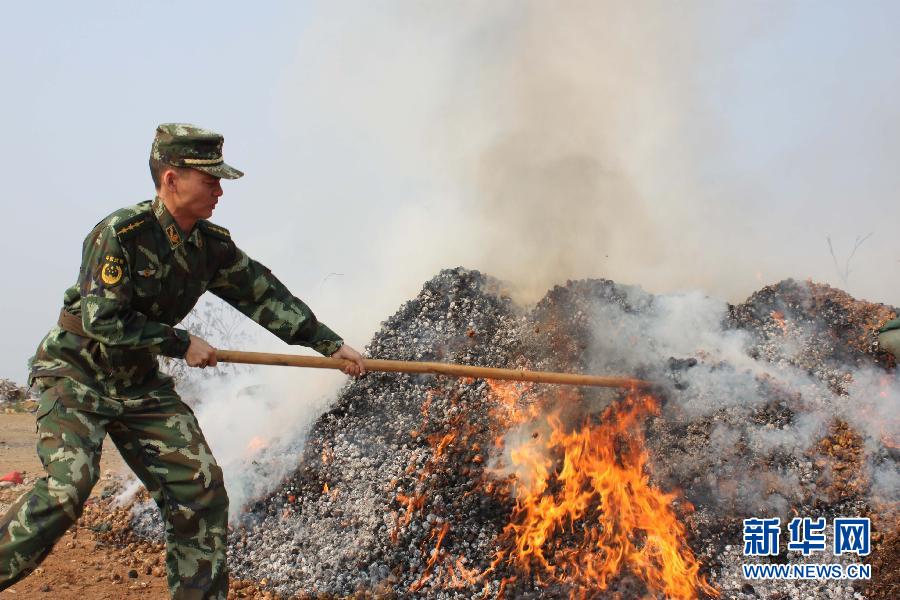（法制）（2）云南盈江公開(kāi)銷毀3．6噸罌粟殼