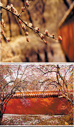 紅白相襯更動(dòng)人 紅白相襯更動(dòng)人