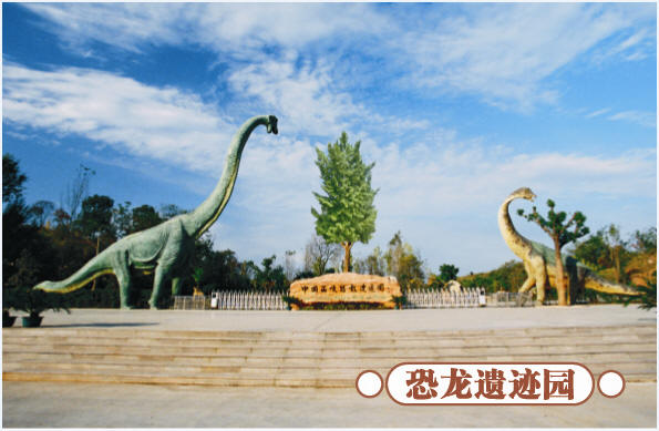 圣誕去哪兒？省內(nèi)歡樂(lè)地推薦