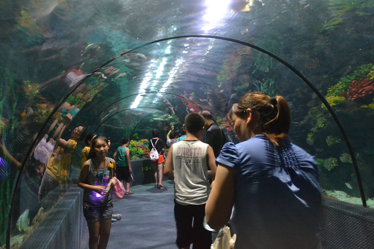 春節(jié)去哪兒？出游地圖告訴您！