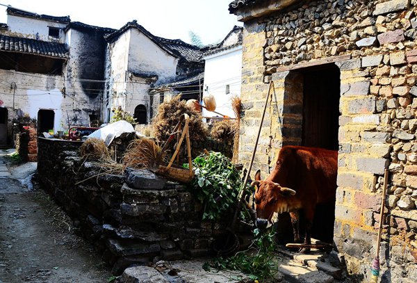 10大古村落，見證鶴壁舊時光