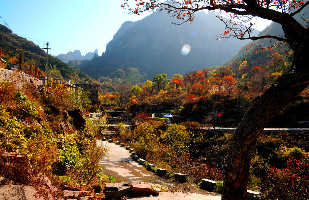 “豫”你相約在三月 尋找河南最早的春色