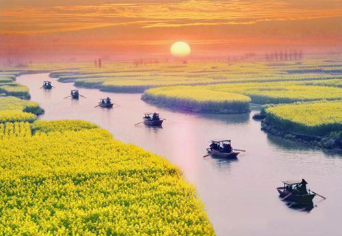 如何拍攝油菜花？達(dá)人教你7個(gè)拍攝技巧