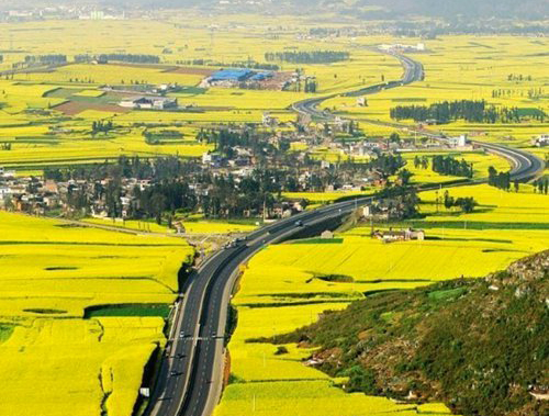 如何拍攝油菜花？達(dá)人教你7個(gè)拍攝技巧