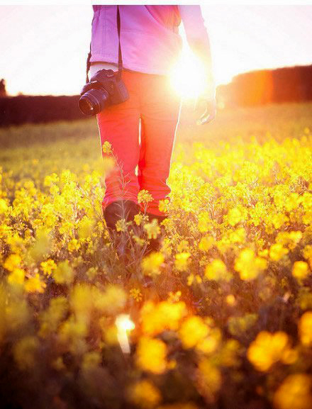 如何拍攝油菜花？達(dá)人教你7個(gè)拍攝技巧