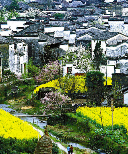 如何拍攝油菜花？達(dá)人教你7個(gè)拍攝技巧