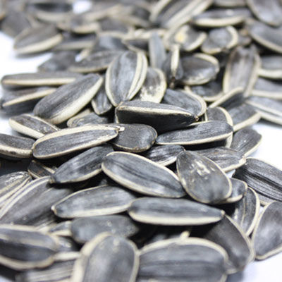 出國(guó)旅游海關(guān)檢查有講究 啥能帶啥不能帶？