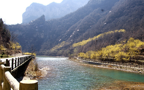 有一種呼喚，叫春天里的蟒河！