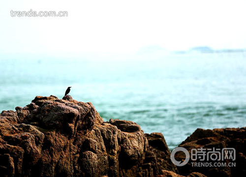 “騎”樂(lè)無(wú)窮 海岸線騎行不挑車(chē)型只挑心情