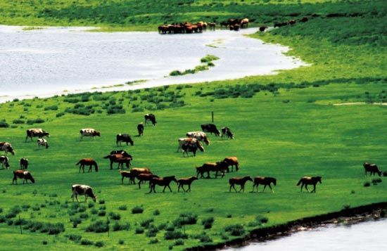 　　處處翠色欲流,馬兒自然入畫?！? complete=