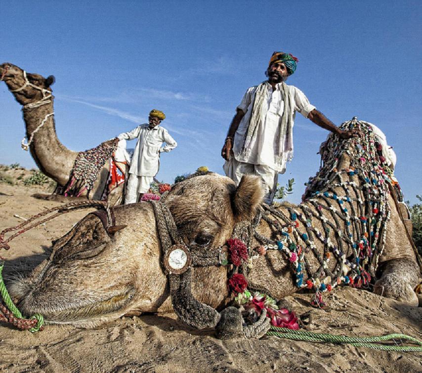 全家出國游去哪里？推薦十佳旅游勝地