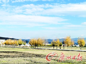 　　大理洱海湖畔美麗的鄉(xiāng)村景色。