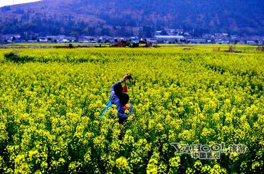 　　不論從人文氣息還是田園自然風(fēng)光,都值得我們?？俊?圖片來源:CFP)