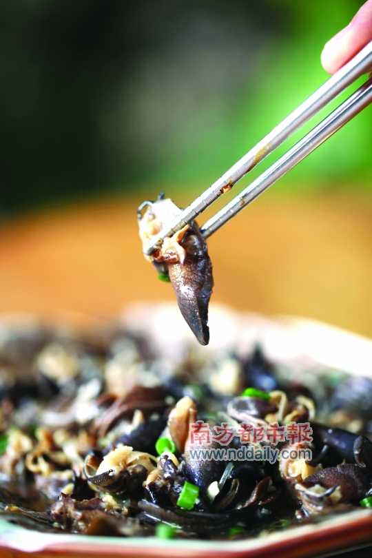 蒜蓉粉絲蒸蝸牛。