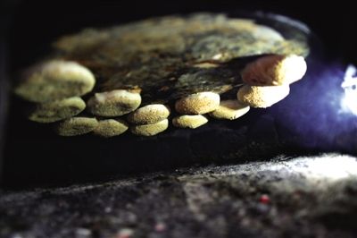 吊爐燒餅是黃驊最典型的面食之一，這種手藝在一些老院子里已經(jīng)傳承了上百年時(shí)間。