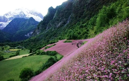 云南的另一個(gè)天堂 我約你一起去！