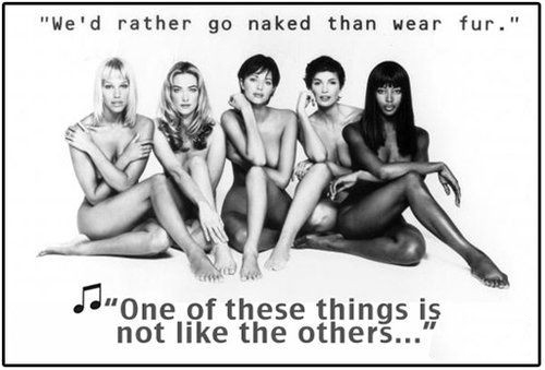 時尚圈第一組群?？棺h皮草大片