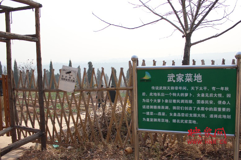 武家菜地就是這，據(jù)說里面有個特大的蘿卜